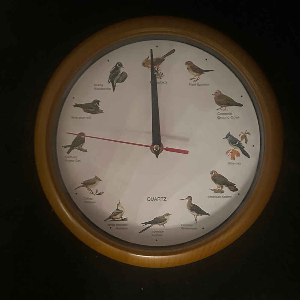 Natural Bird Illustration Wall Clock